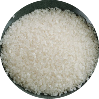 Riz