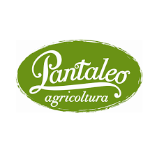 Pantaleo